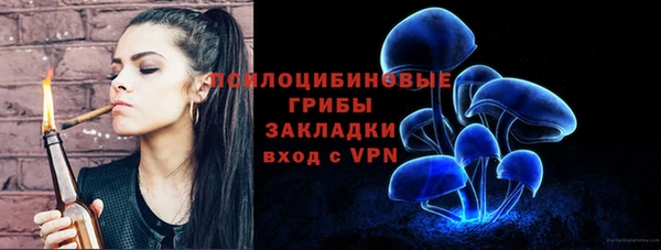 гидропоника Белоозёрский