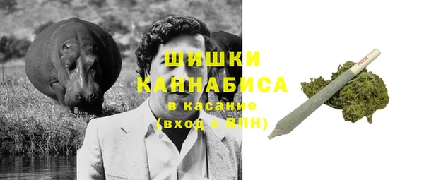 стафф Белокуриха
