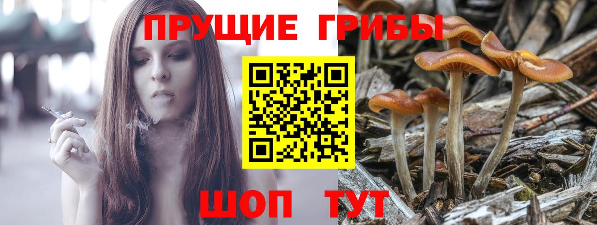 Галлюциногенные грибы прущие грибы  Вход с VPN  Галлюциногенные грибы мухоморы  Реж 
